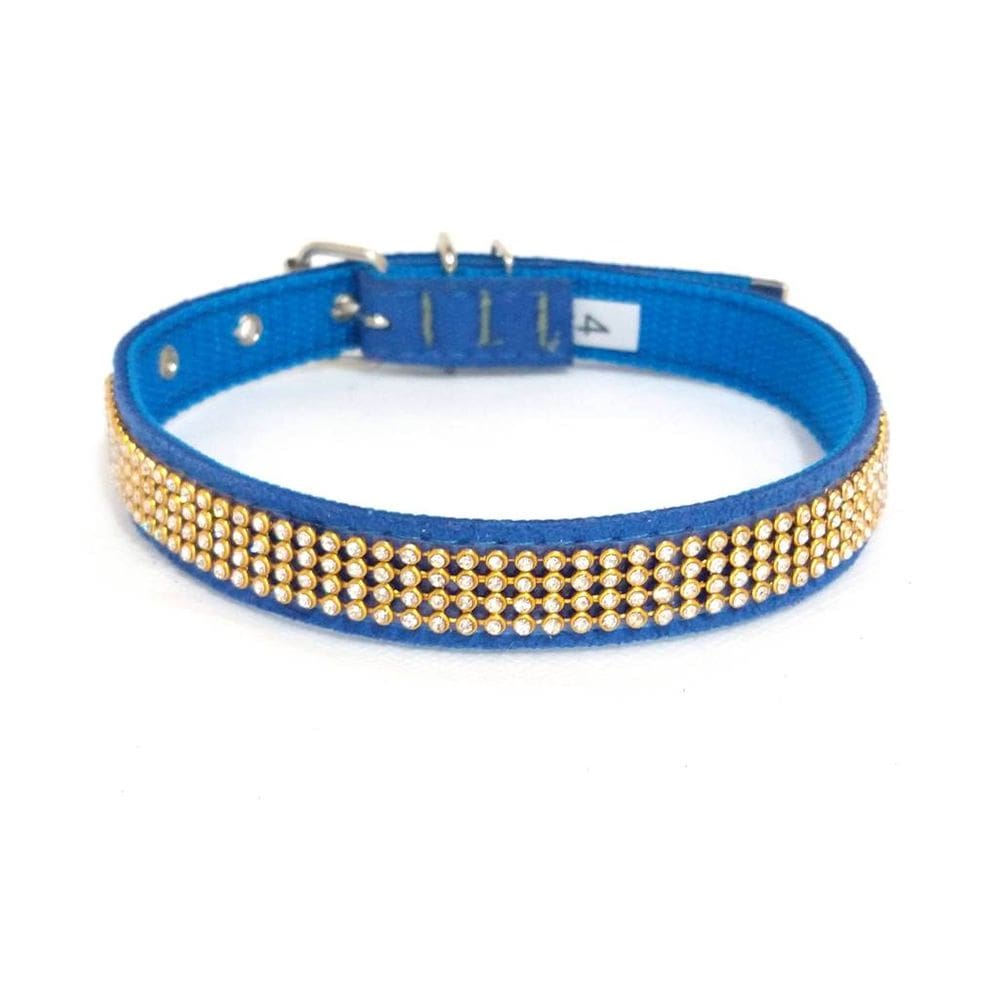 Coleira camurça com strass azul tamanho nº. 04