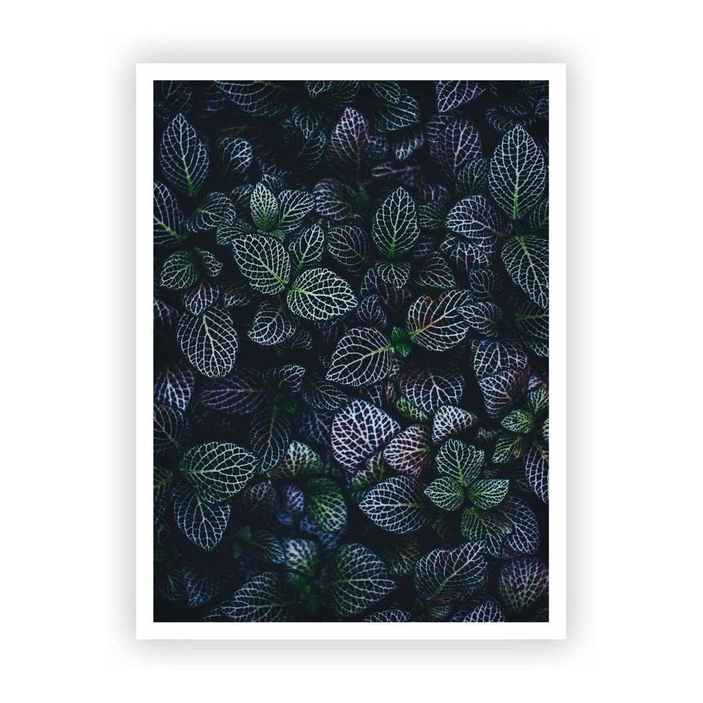 Quadro Decorativo Paisagens Variadas Com Moldura Branca 09