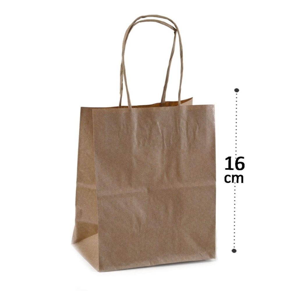 Sacola Kraft 16x13cm 10 Peças Pacote - Tudo em Caixa
