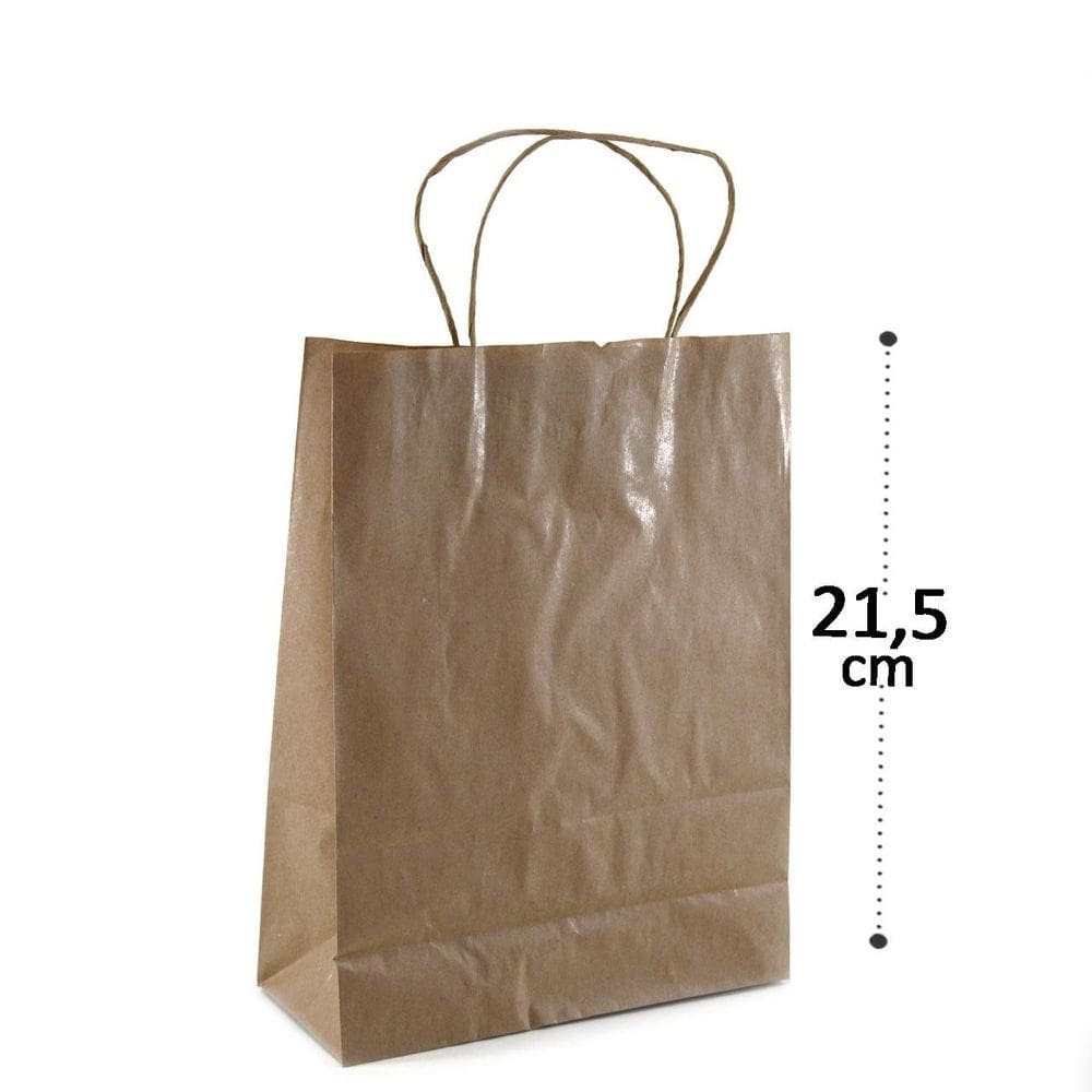 Sacola Kraft 21,5x17,5cm 10 Peças - Tudo em Caixa