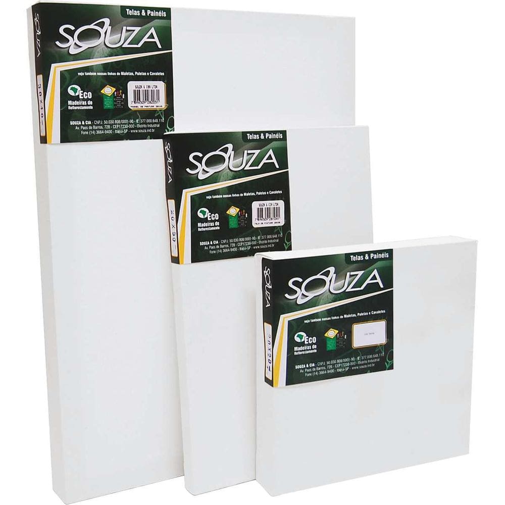 Tela Para Pintura 30X30Cm Tecido C/Mold.Madeira Pct Com 06