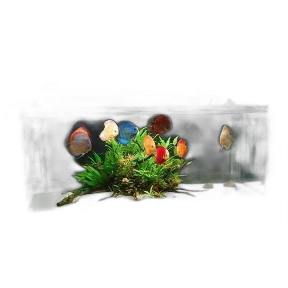 Luminária Para Aquário Fita Led Rgb 5050 50 Cm