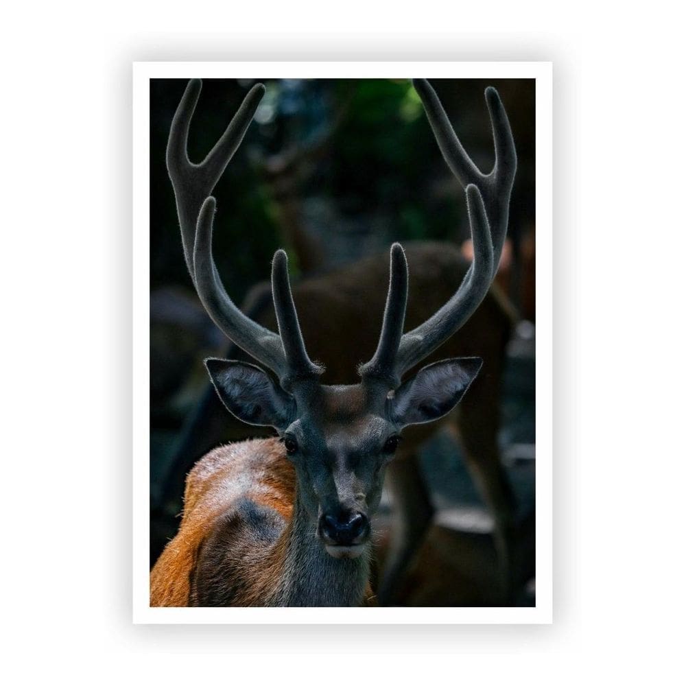 Quadro Decorativo Paisagens Variadas Com Moldura Branca 06