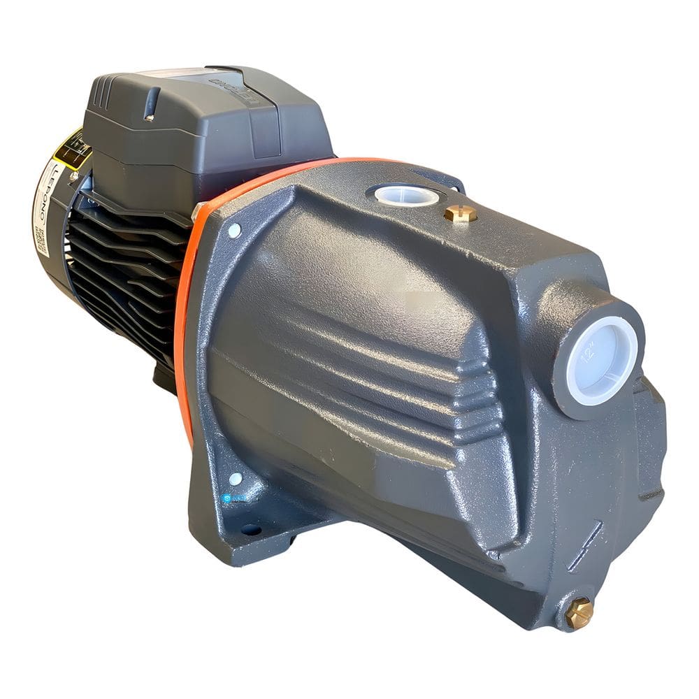 Motobomba Centrifuga Autoaspirante Lepono 2,0cv Rotor Aço Inox