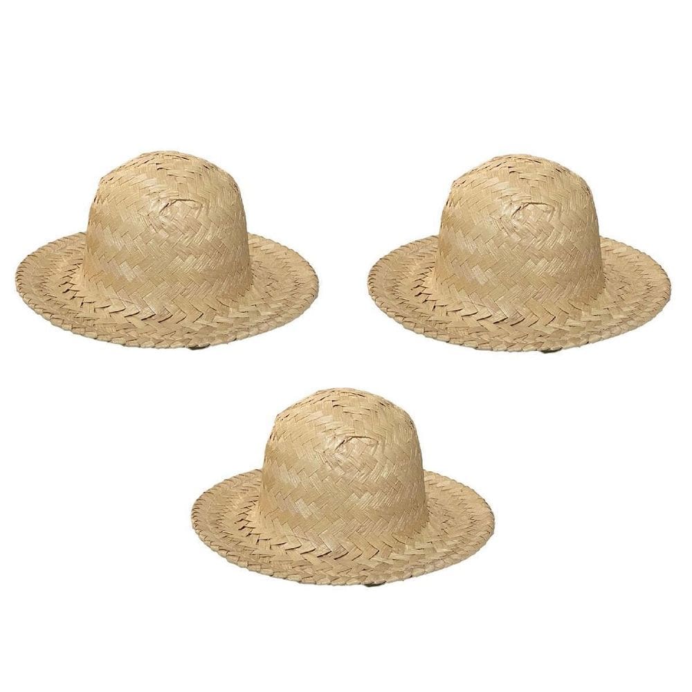 Kit 3 Mini Chapéus De Palha Para Festa Junina Caipira 18Cm