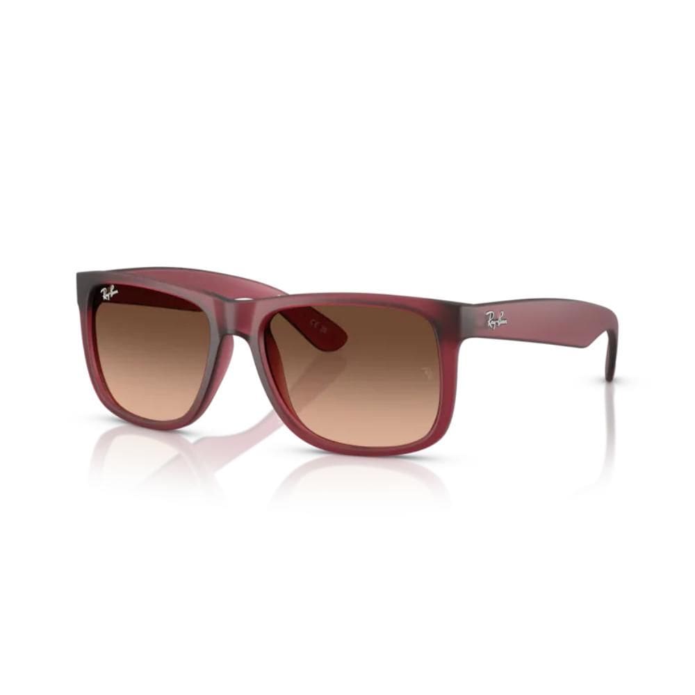 Óculos de Sol Justin Violeta Ray-Ban