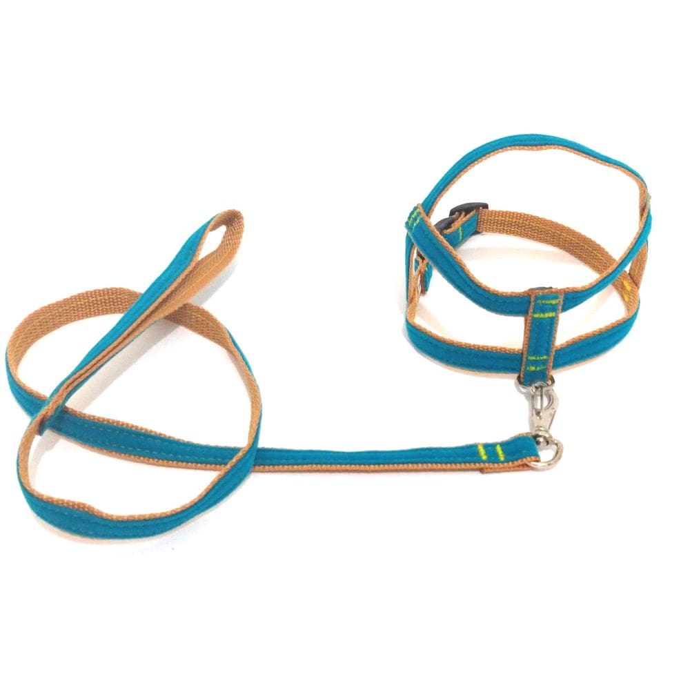 Conjunto Peitoral de Veludo liso verde tamanho 01