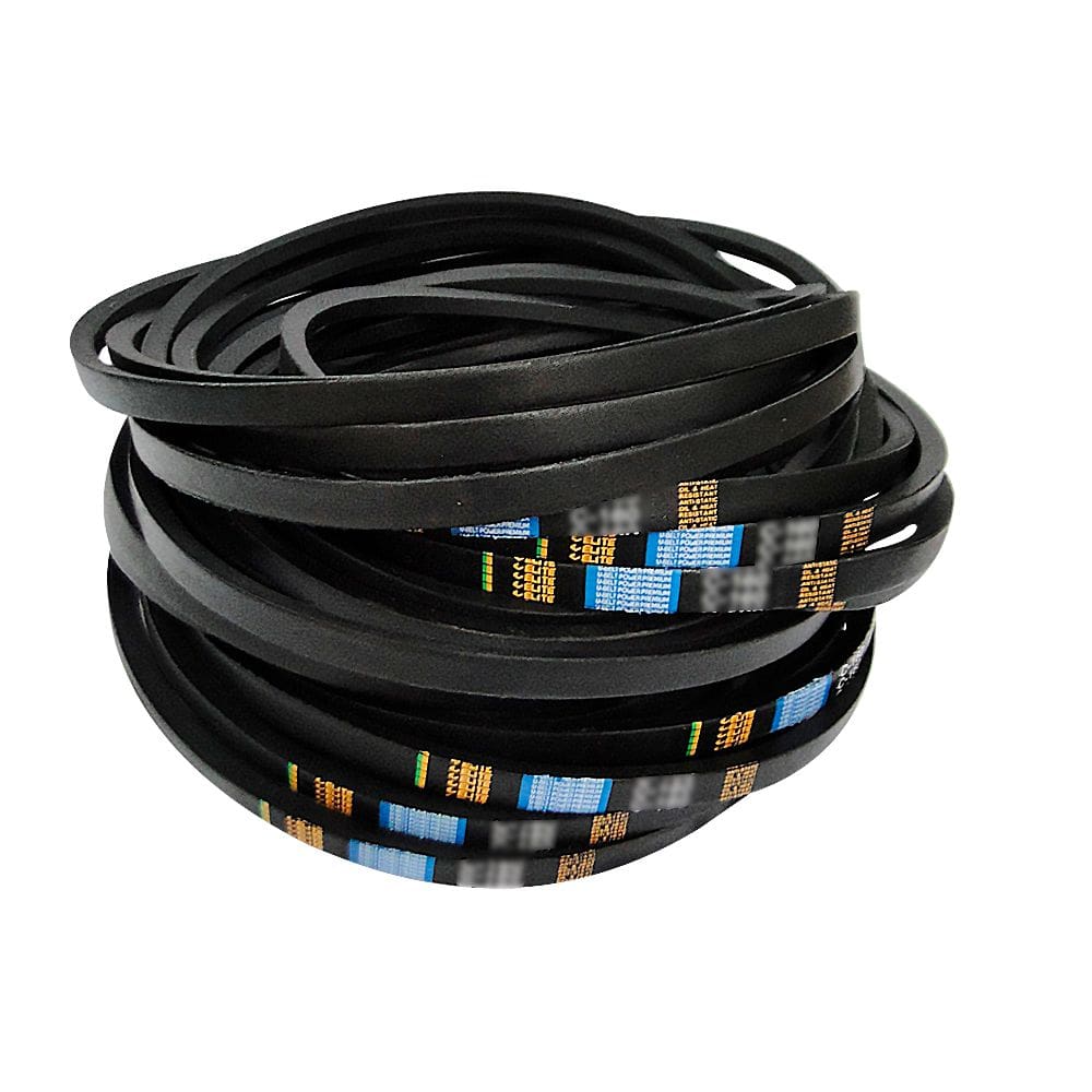 Kit Correia em V Lisa C100 Elite 3 unidades