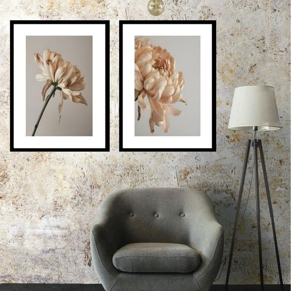 Kit 2 Quadros Grandes Crisântemos Bege - 60X48Cm