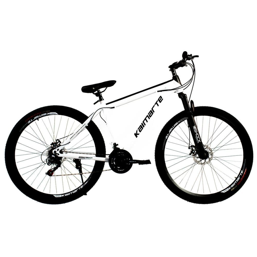 Bicicleta Aro 29 Bike 21 Vel Marchas Everest Freio A Disco