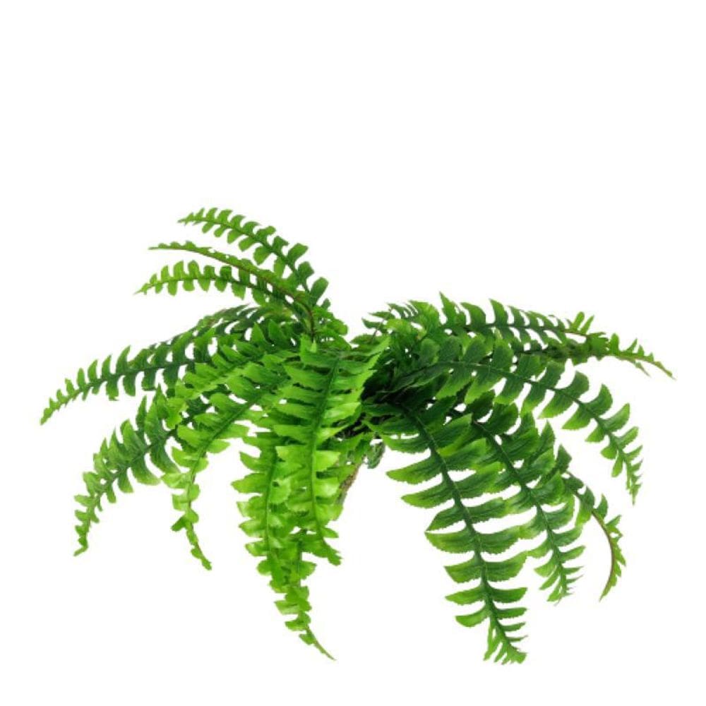 Samambaia Folhagem Planta Artificial 50Cm Decorativo