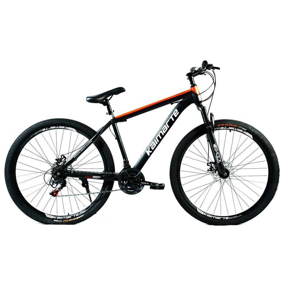 Bicicleta Aro 29 Bike 21 Vel Marchas Everest Freio A Disco