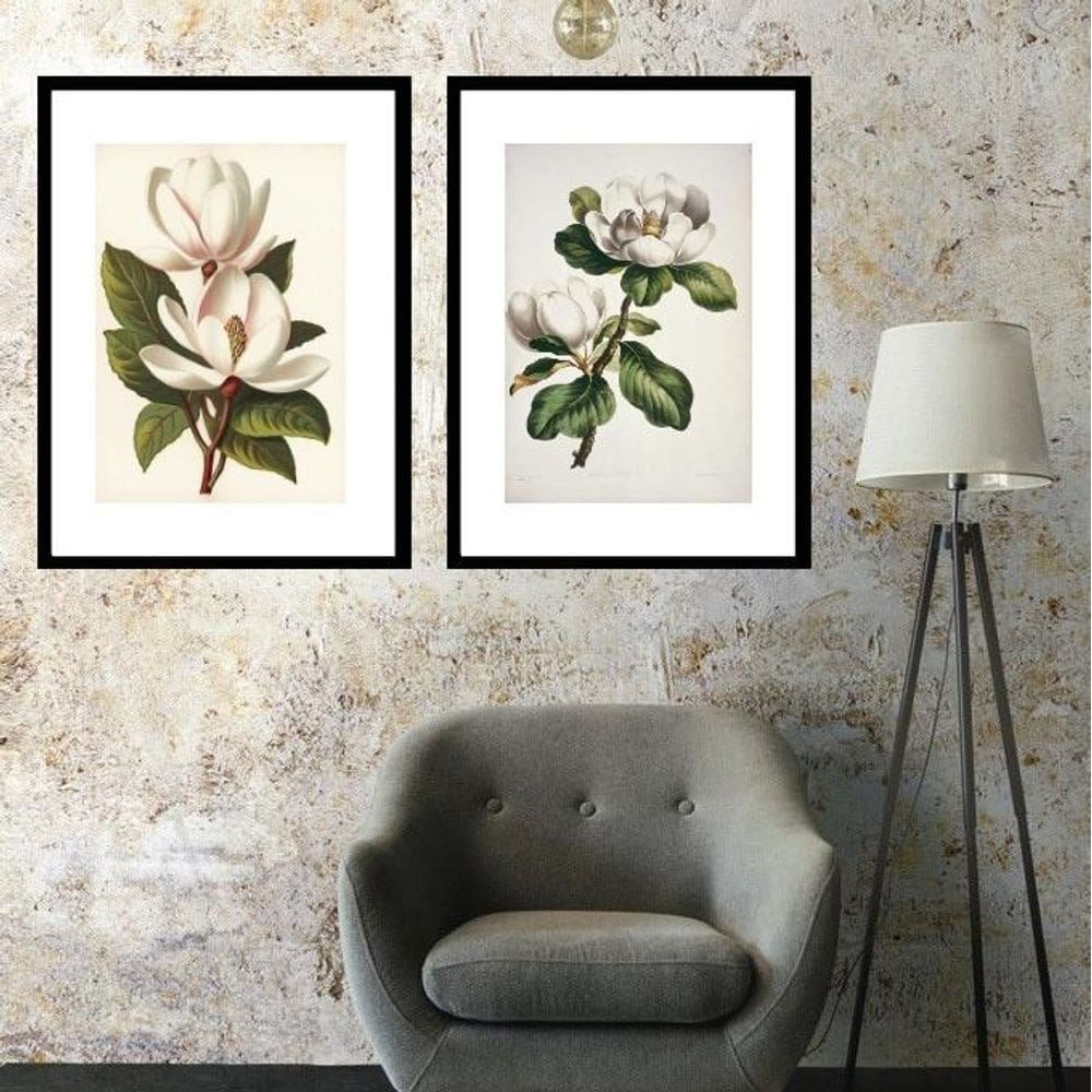 Kit 2 Quadros Flores Magnólias- 60X48Cm