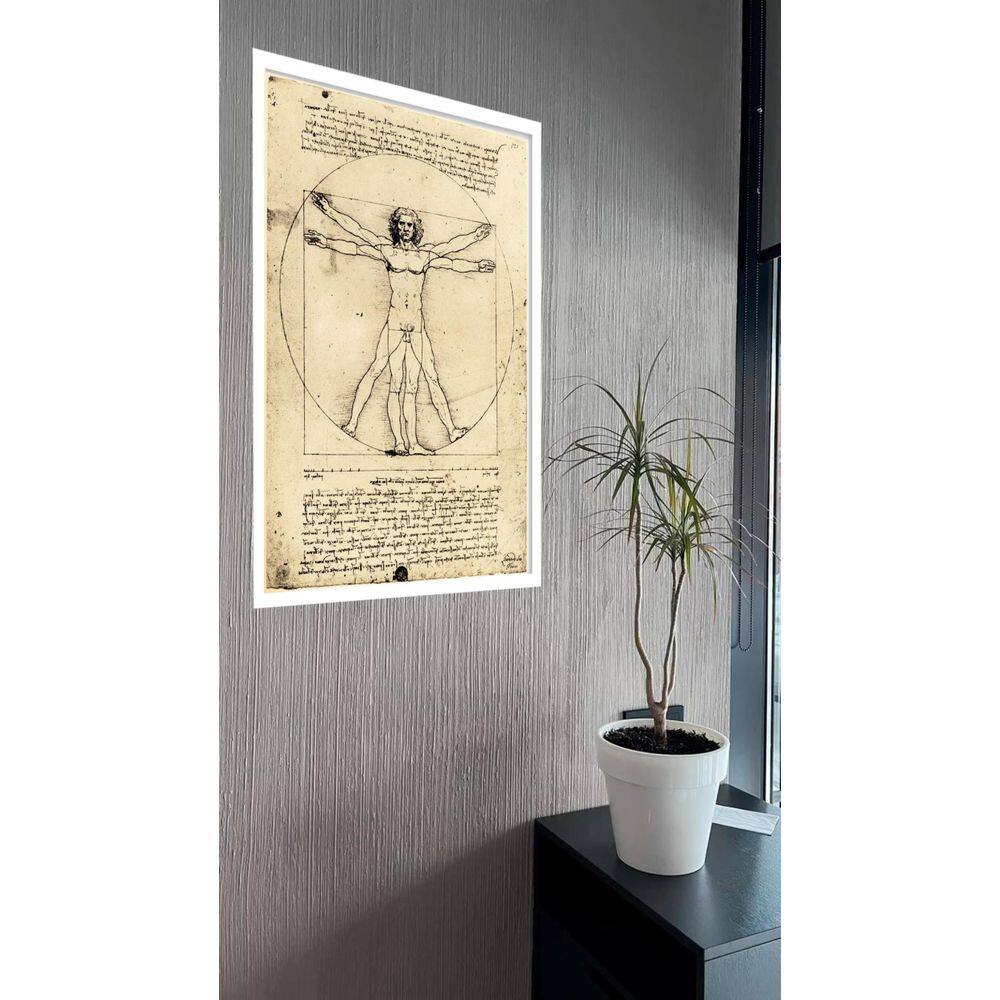 Quadro Decorativo Da Vinci O Homem Vitruviano - 70X50Cm