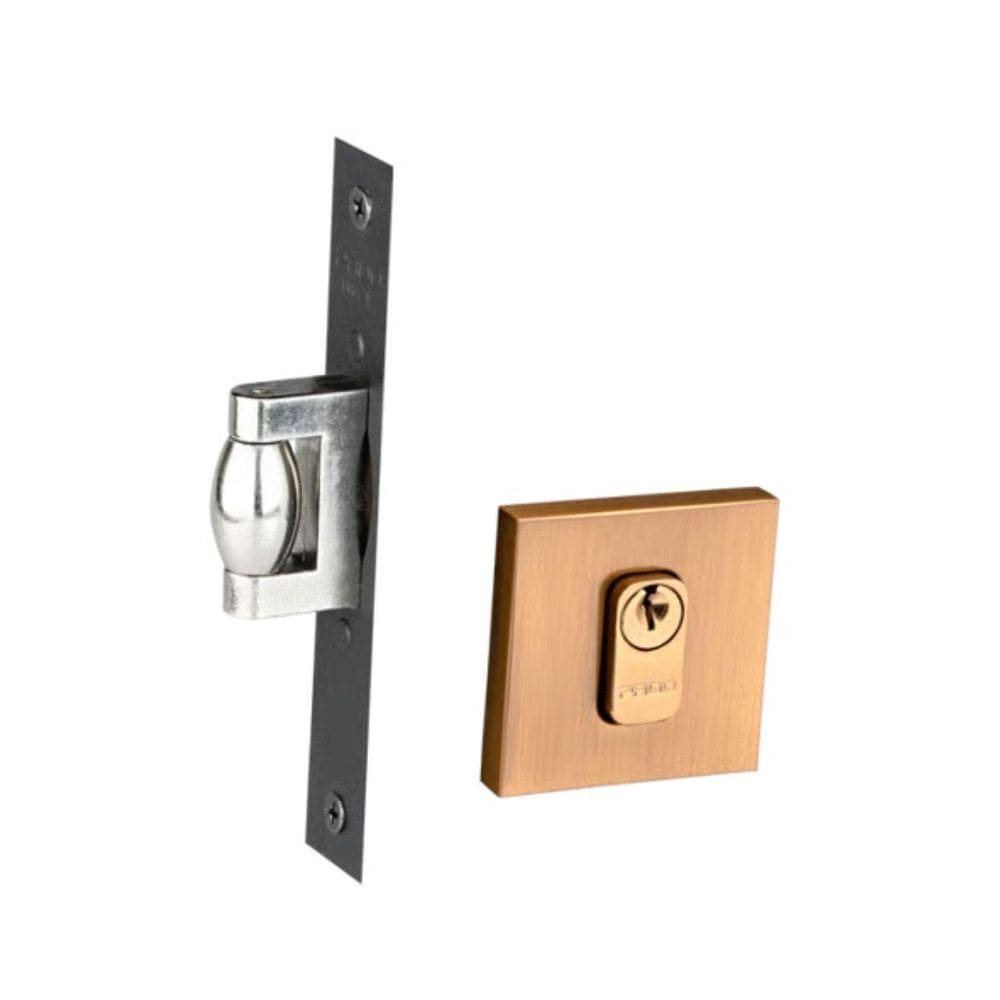 Fechadura Trava Rolete Porta Pado Red Gold Escovada Externa