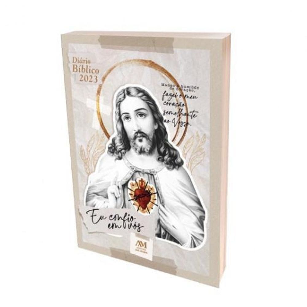 Livro Diário Bíblico Brochura Capa Cristal Ano Novo