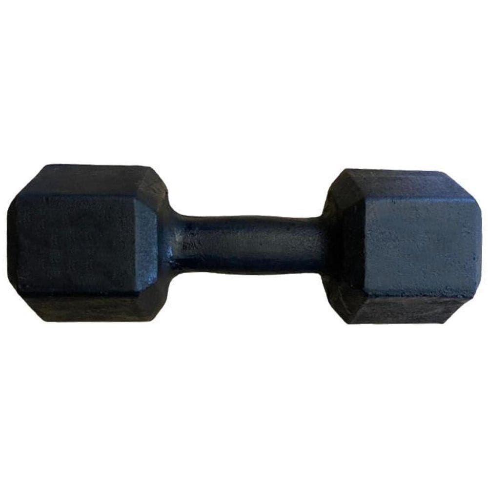 Halter Sextavado Pintado 10Kg Academia Treino Musculação