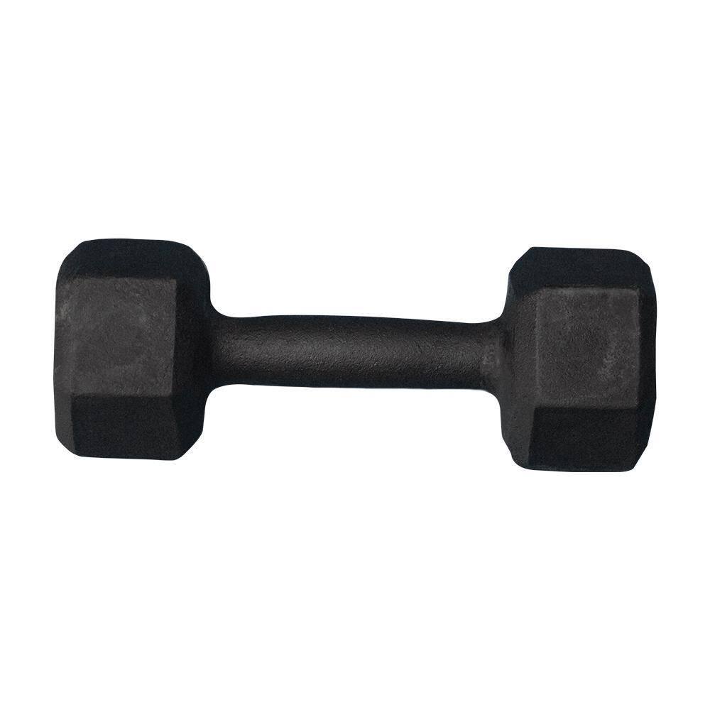 Halter Sextavado Pintado 5Kg Academia Treino Musculação