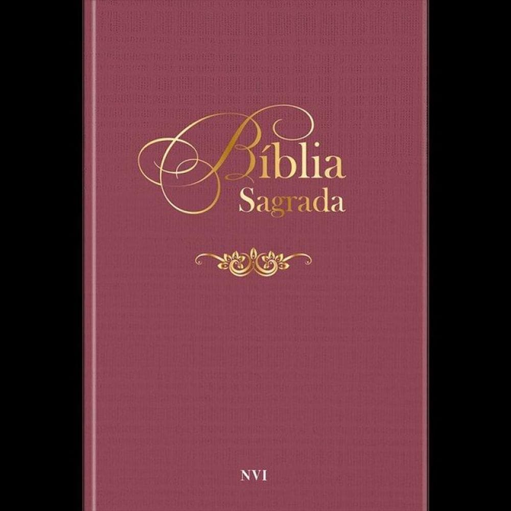 Bíblia Sagrada Nvi - Vinho - Vol. 1