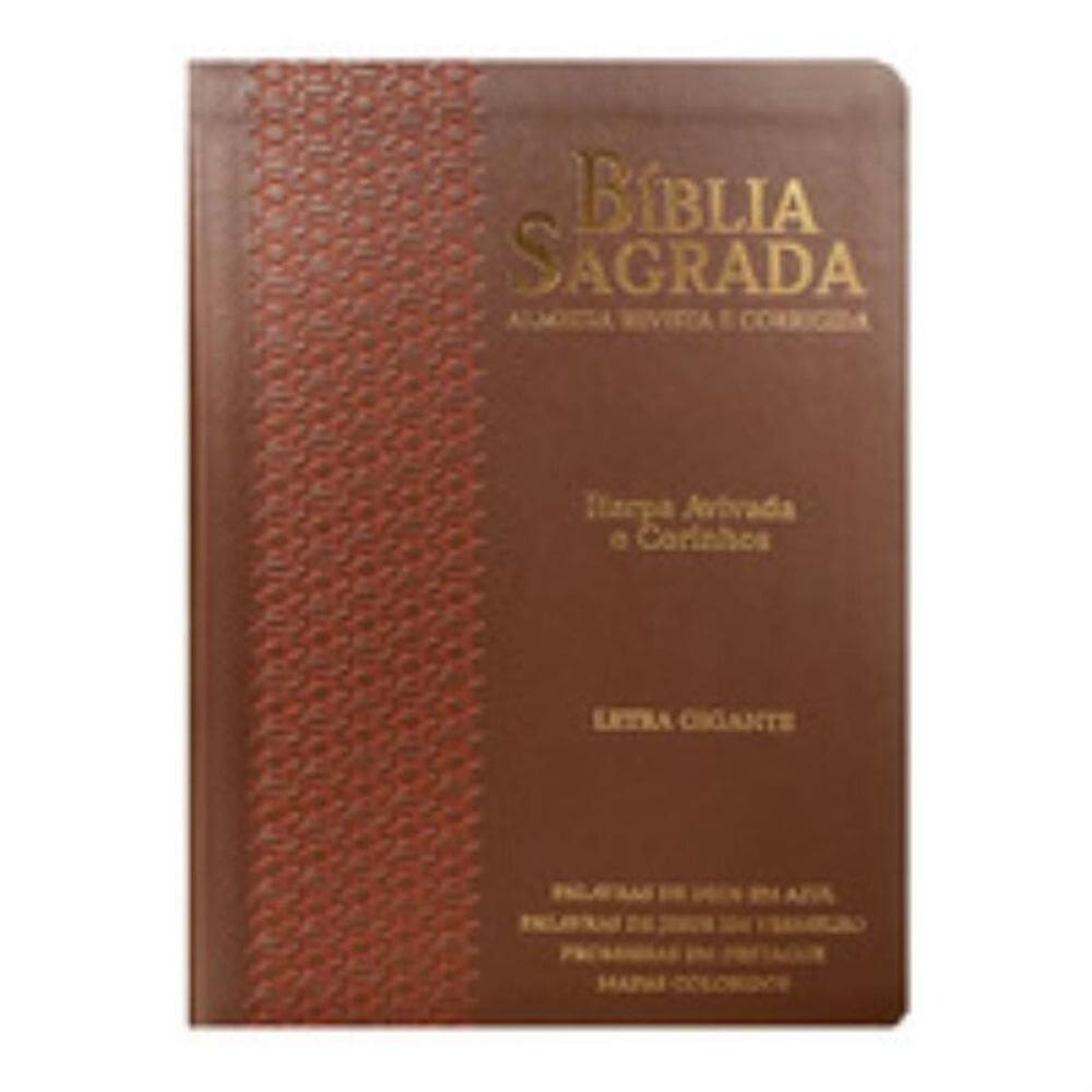 Bíblia gigante ppm arc full color c/ harpa pu luxo c/ borda dourada - estrela café e bordô
