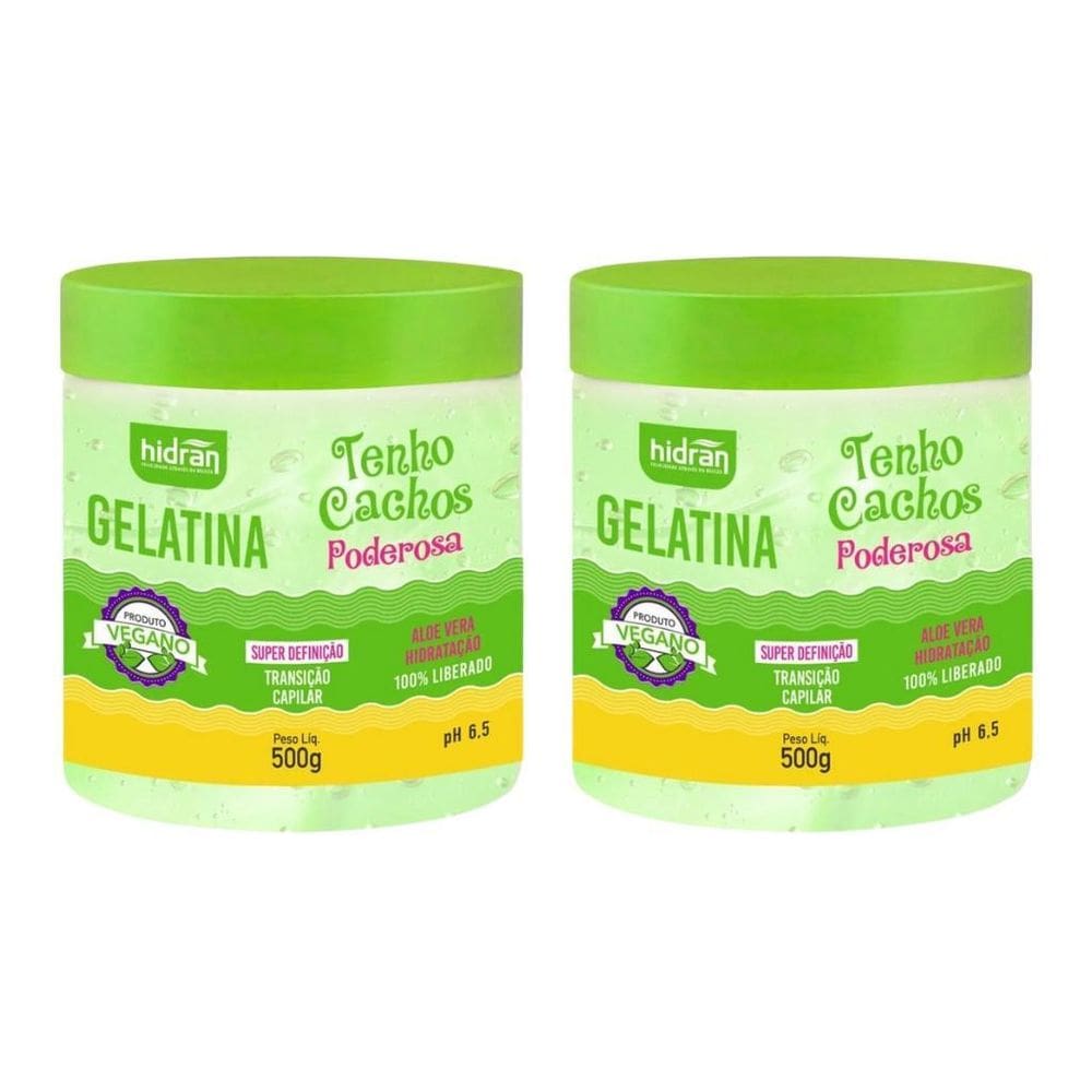 Gelatina Hidran 500G Tenho Cachos Super Definiçao - 2Un