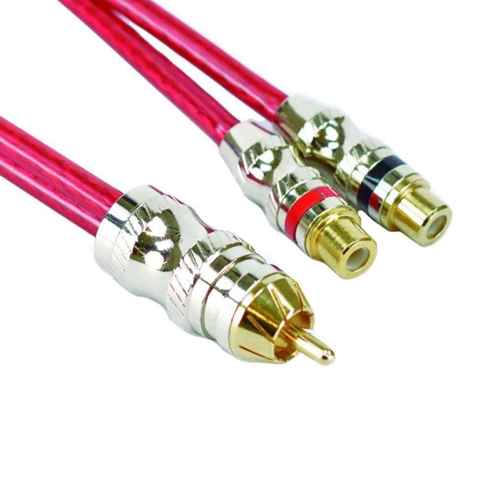 Cabo Santo Angelo Rca Y Paredao 1 Macho / 2 Femeas 40 Cm...