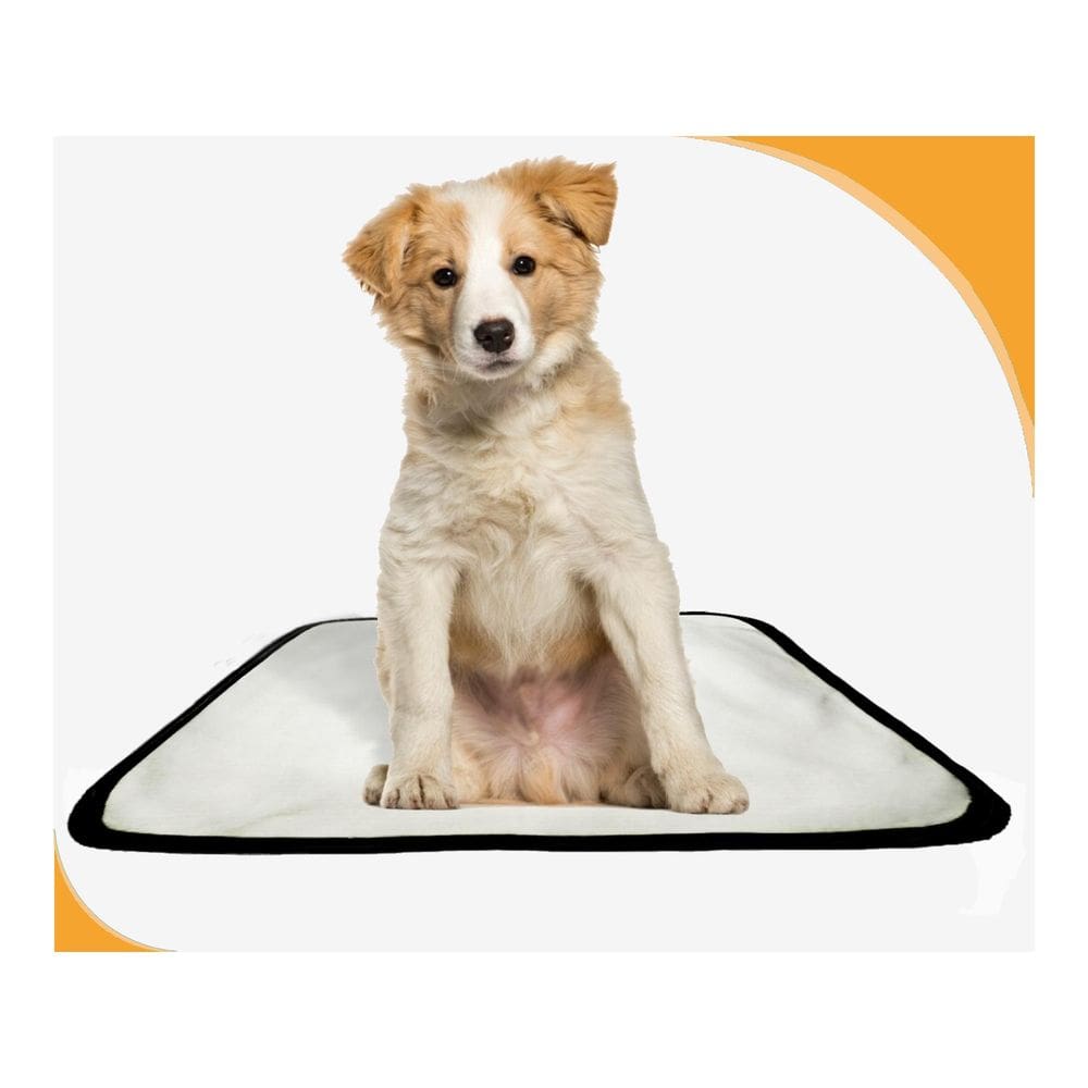 Tapete Pet Lavável Higiênico Estratégico 2 Un P 50X60Cm