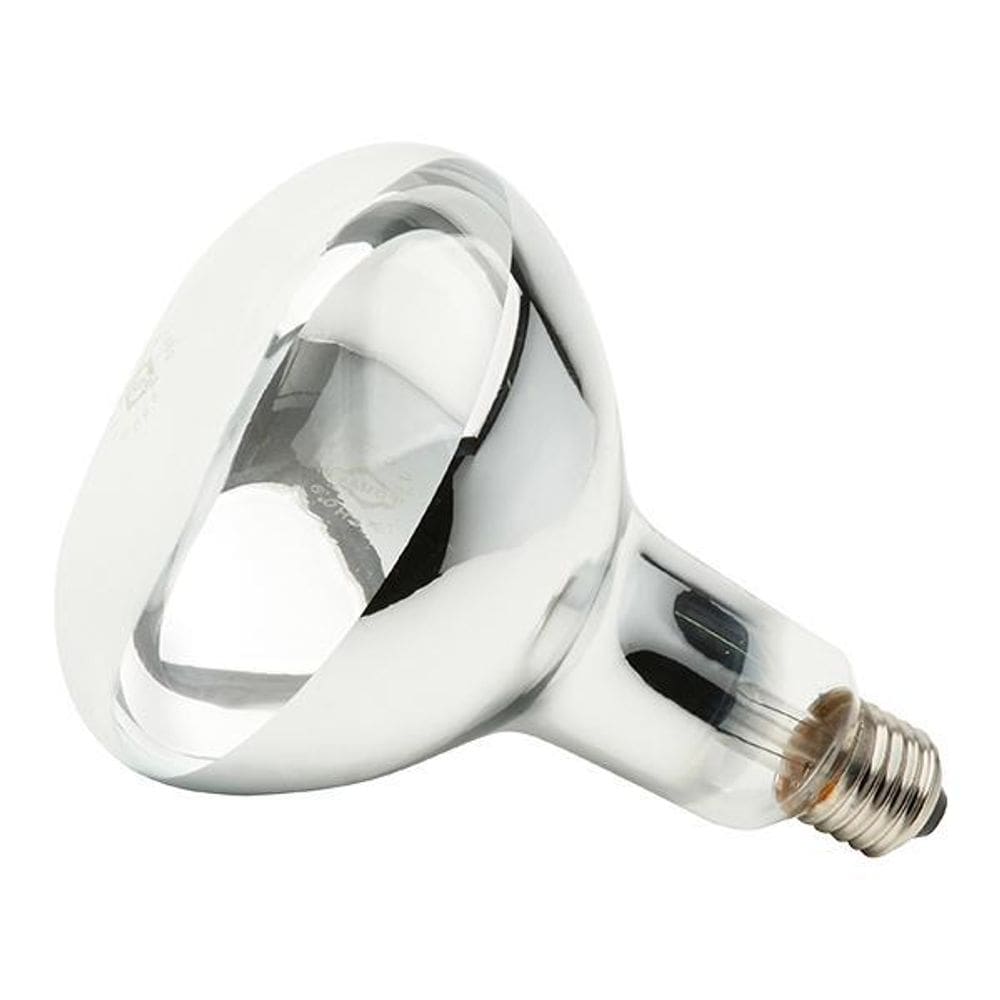 Lâmpada Secagem Infraver 250Wx220V E27 Brasfort 8464