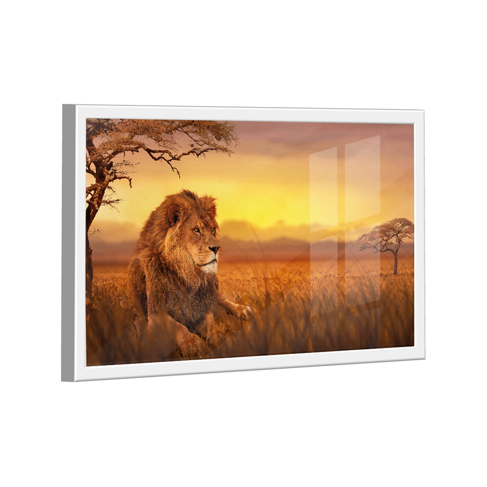 Quadro Decorativo Leão Savana