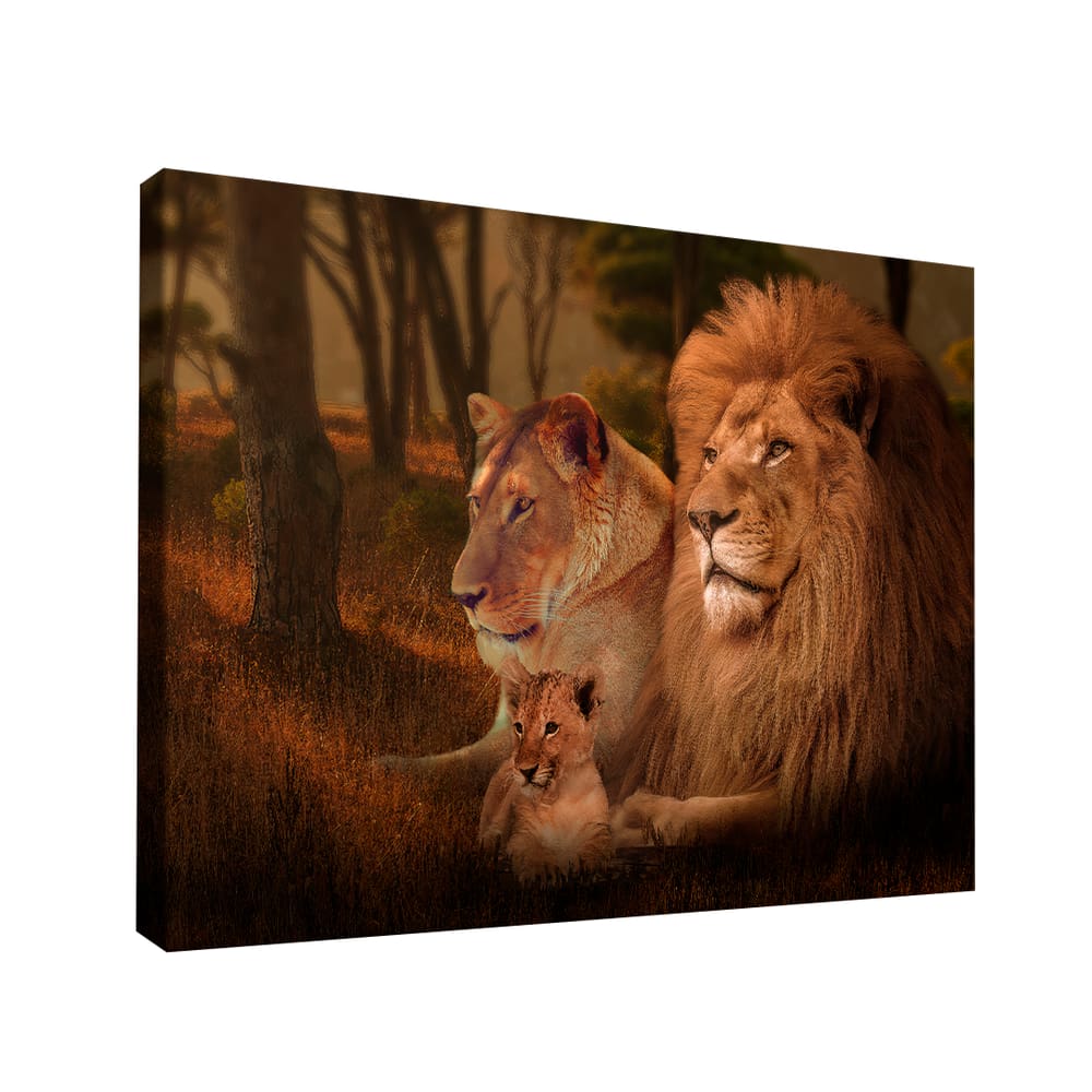 Quadro Wild Family