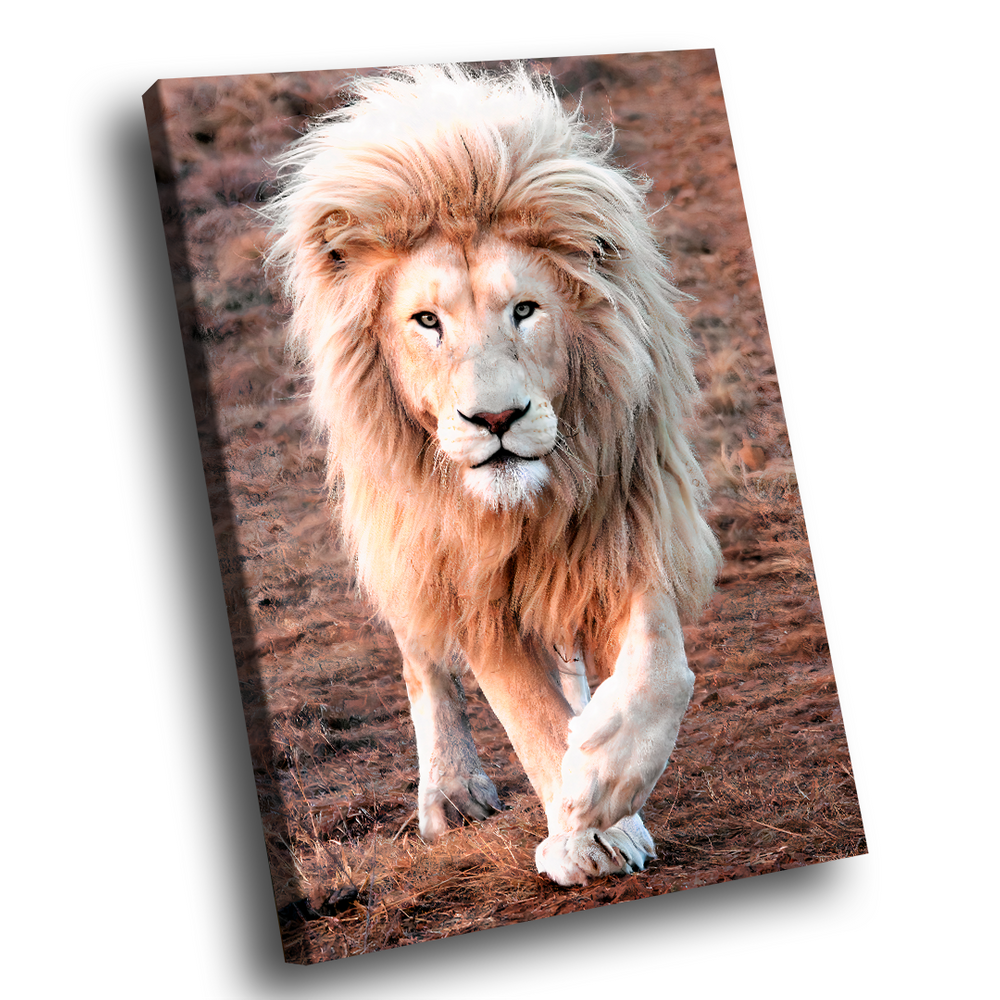 Quadro Decorativo Leão Branco