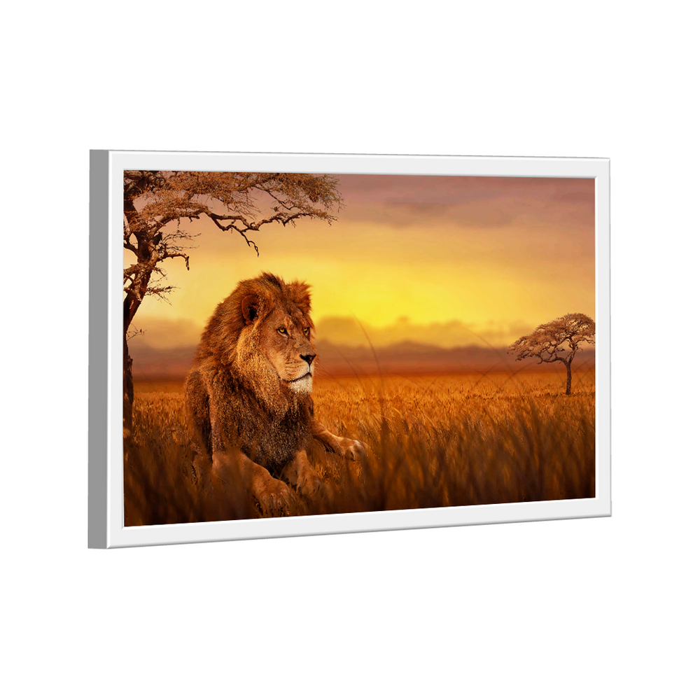 Quadro Decorativo Leão Savana