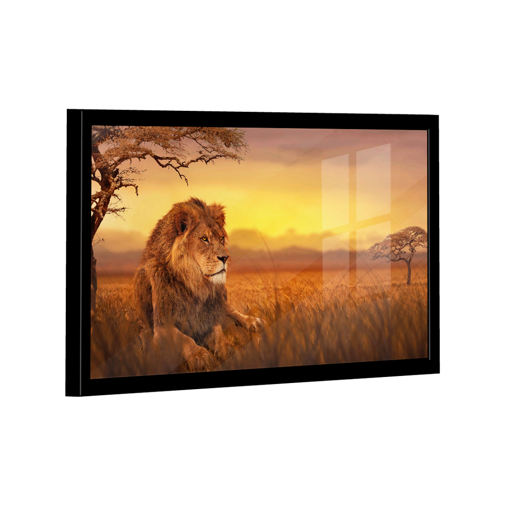 Quadro Decorativo Leão Savana