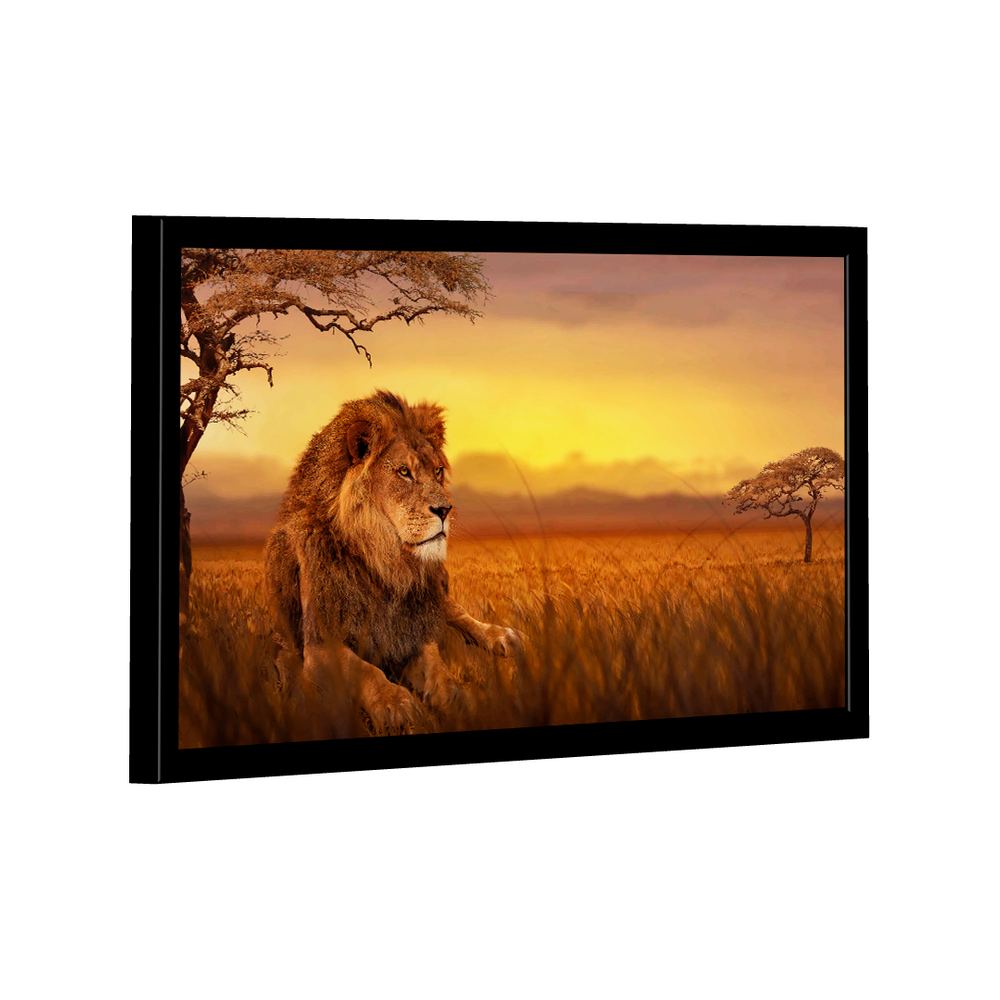 Quadro Decorativo Leão Savana