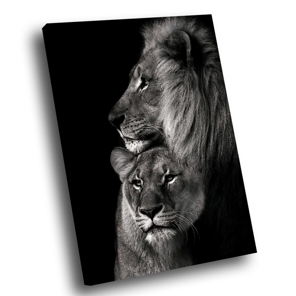 Quadro Leões Sintonia