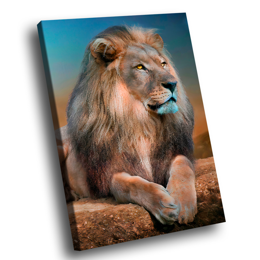 Quadro Decorativo Leão Distraído