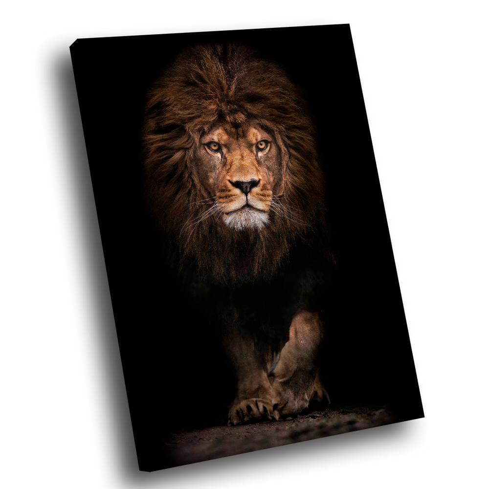 Quadro Decorativo Leão Assente