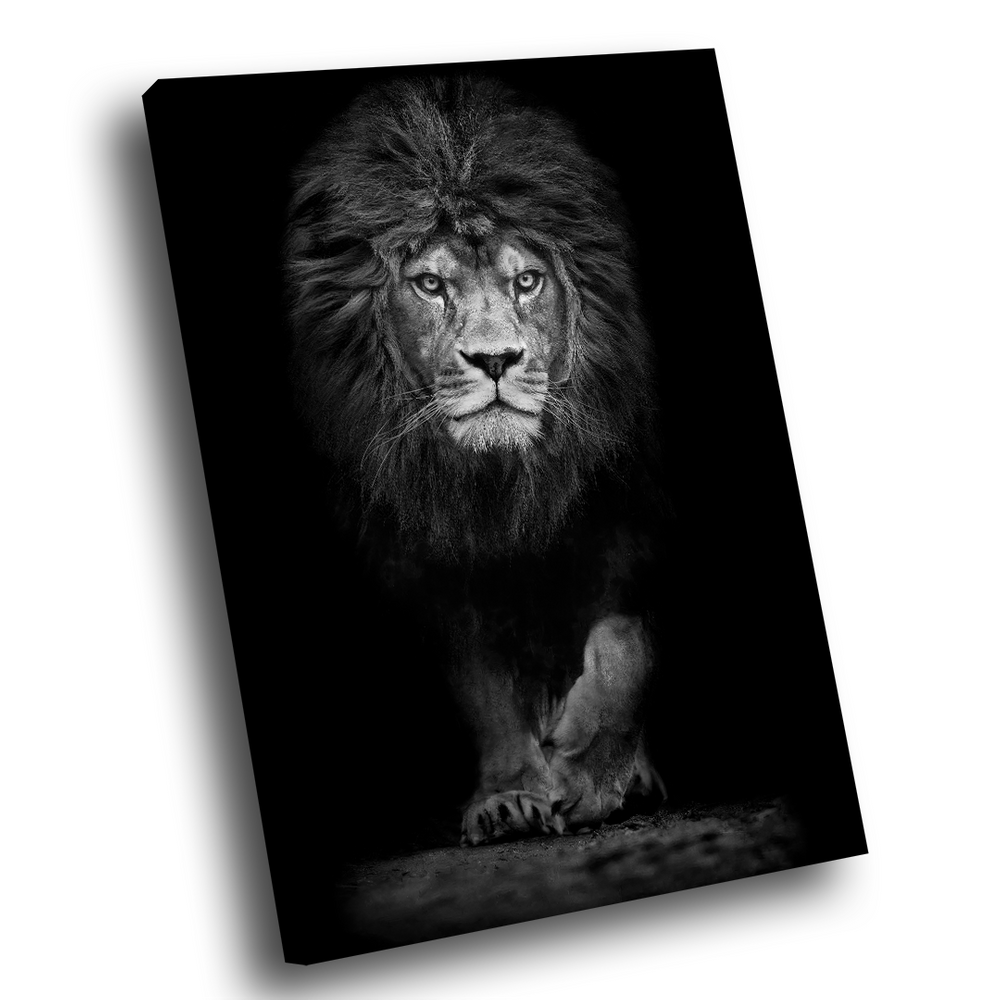 Quadro Decorativo Leão Assente PB