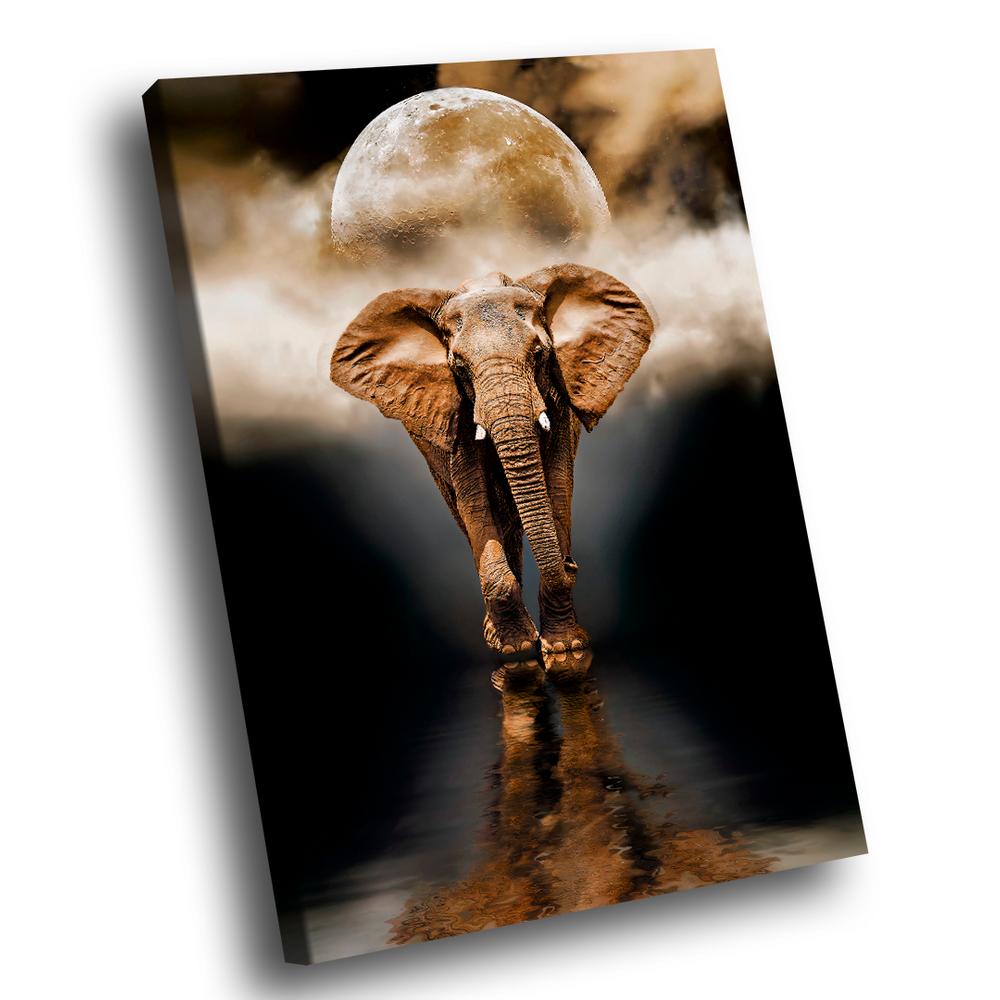 Quadro Decorativo Elefante Luar