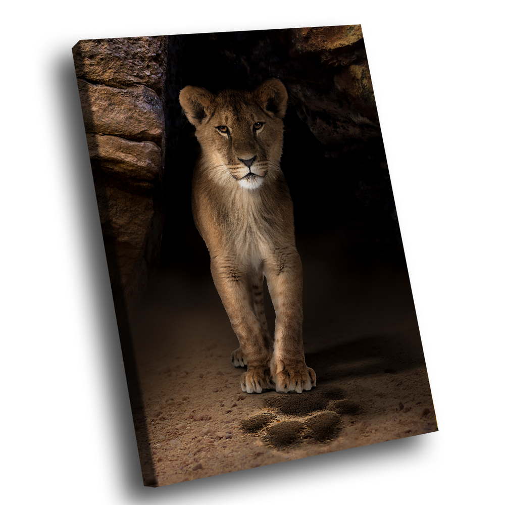 Quadro Decorativo Rastro