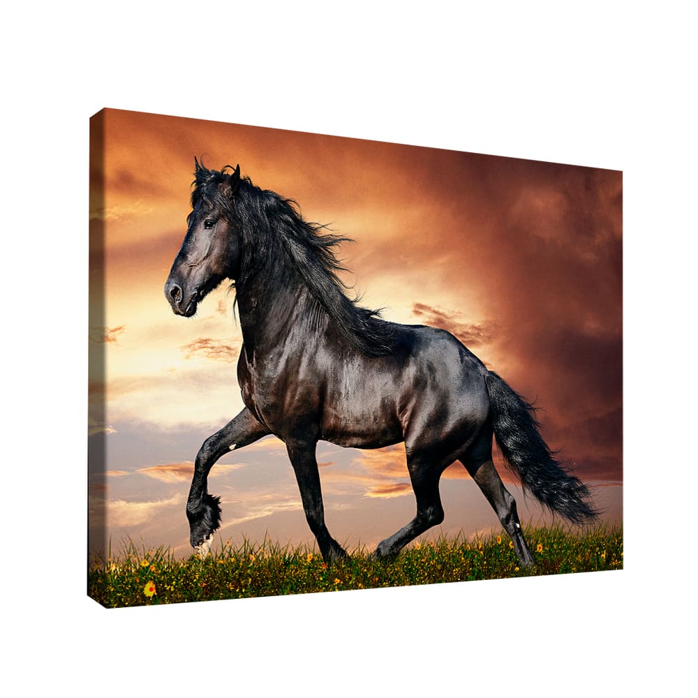 Quadro Cavalo Rei -- BR ARTES