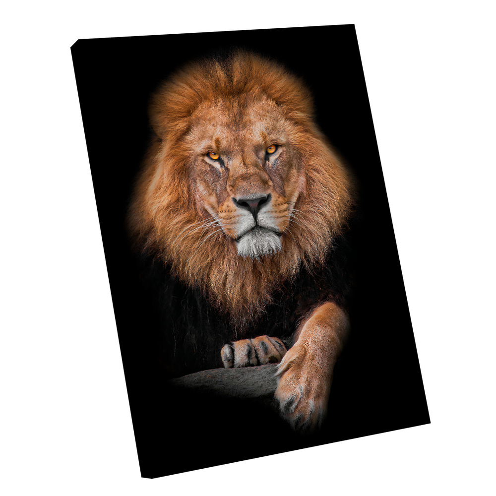 Quadro Decorativo Realeza do Leão