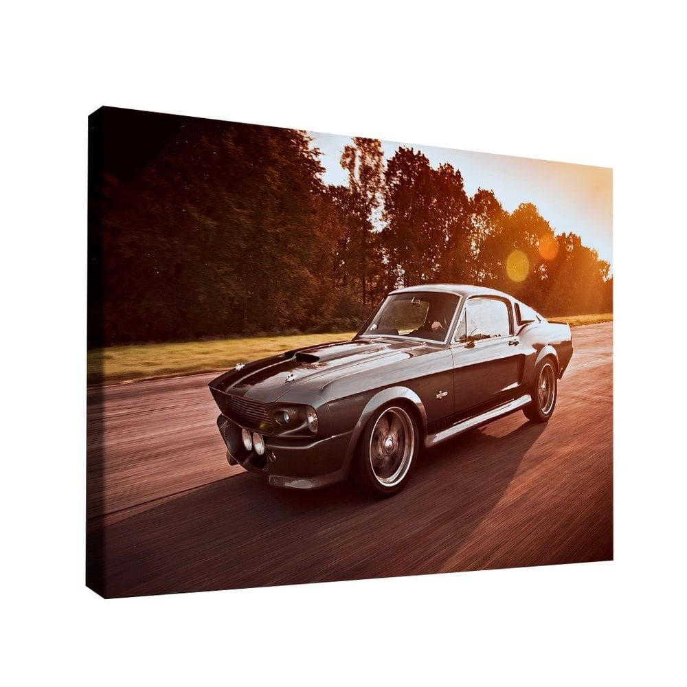 Quadro Mustang Shelby