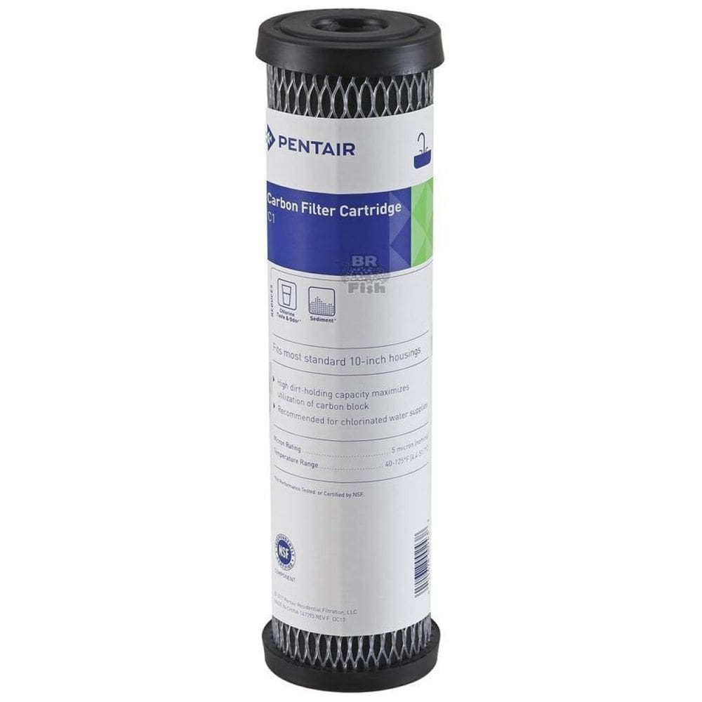 Refil Celulose Carvão Impregnado Pentair C1 9.3/4 5 Micras