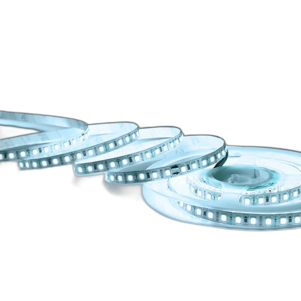 Fita De Led 20W 240 Leds/M 12V Taschibra Com 5 Metros 6500K