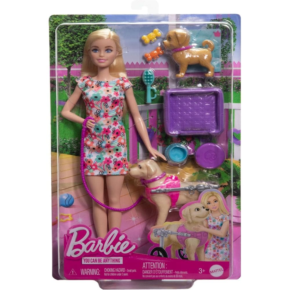 Barbie Boneca com Animal de Estimação - Cadeira de Rodas Htk37