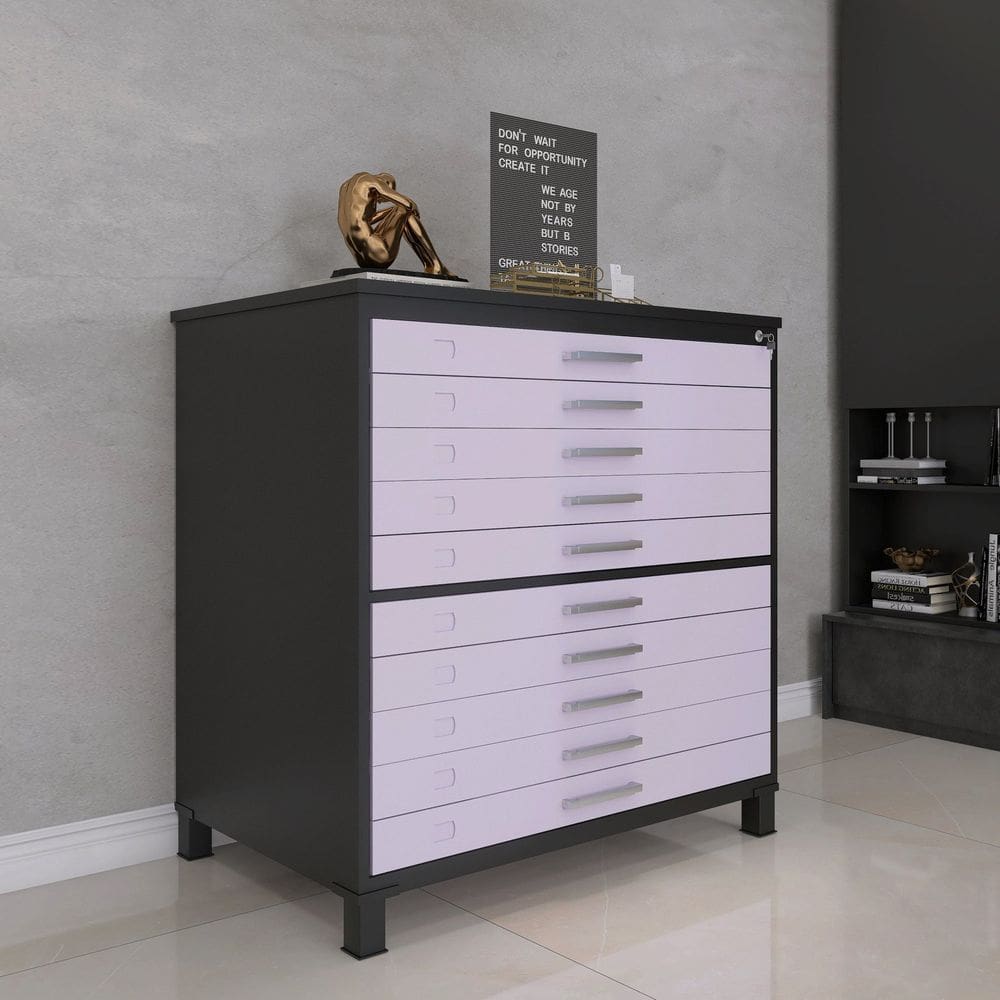 Mapoteca 10 Gavetas 120,4cm X 122,3cm Aço Preto/Lilás