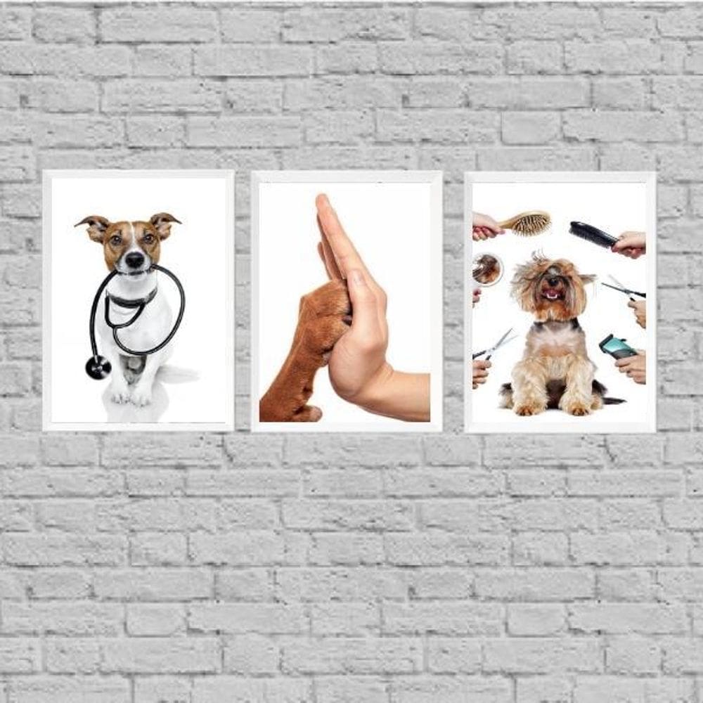 Kit 3 Quadros Para Clínica Veterinária 24X18Cm - Com Vidro