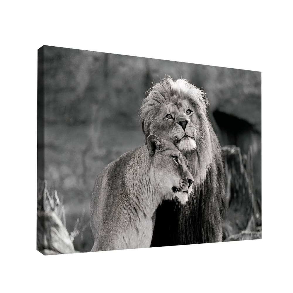 Quadro Decorativo Amor De Leão PB