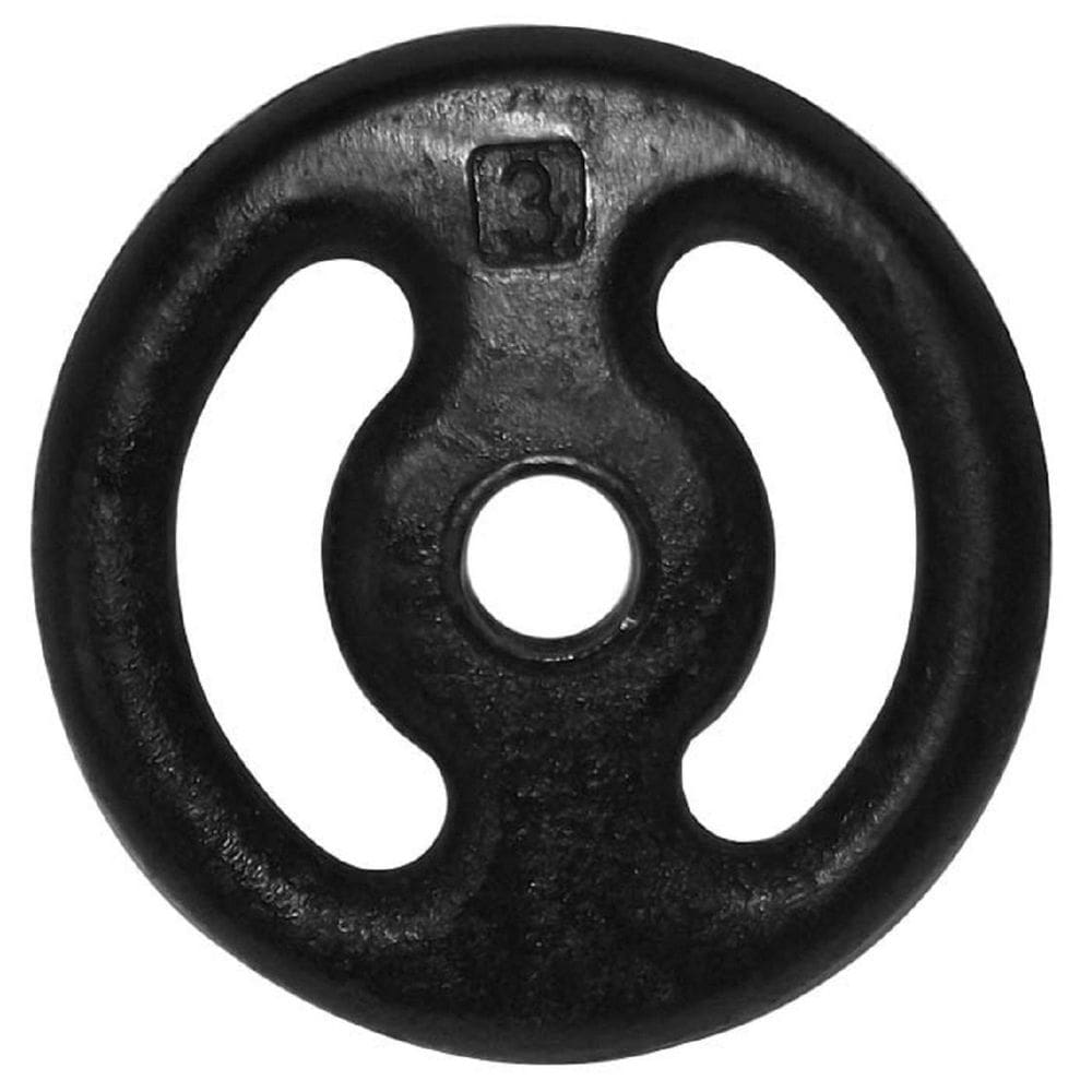 Anilha Pintada Para Musculação 3 Kg